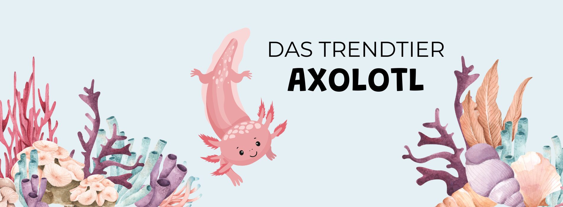Kopie von Banner_Desktop (1903 x 700 px) (1)