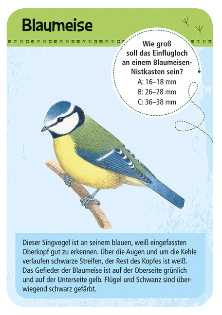 moses - 50 heimische Vögel