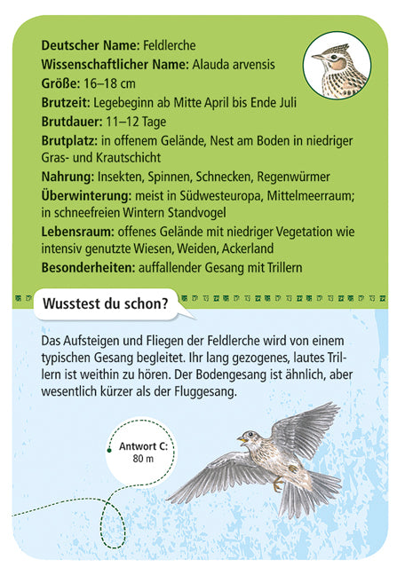 moses - 50 heimische Vögel