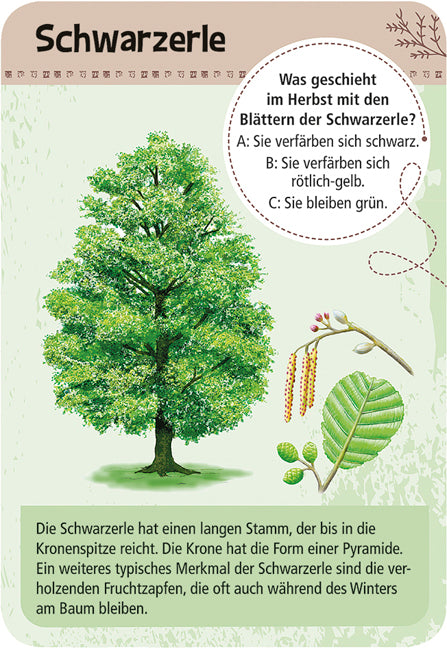 moses - 50 heimische Bäume