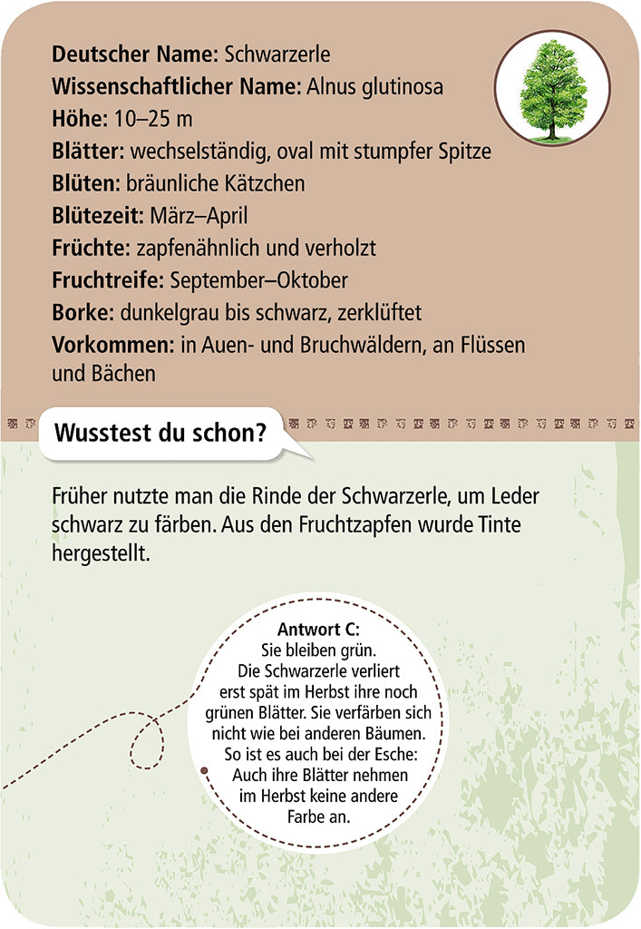 moses - 50 heimische Bäume