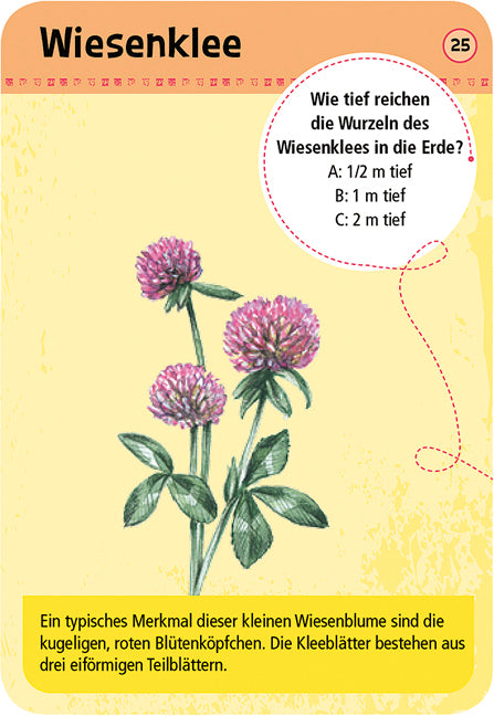 moses - 50 heimische Blumen