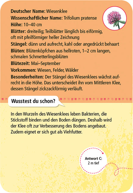 moses - 50 heimische Blumen