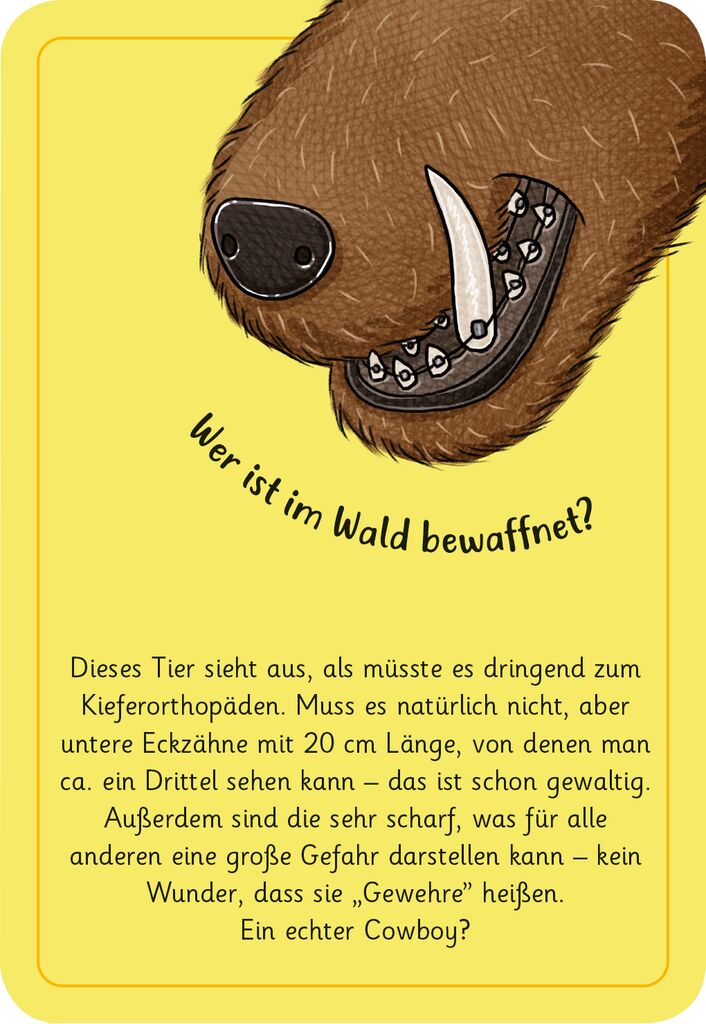 moses - 50 wundersame Tierrätsel: Wald