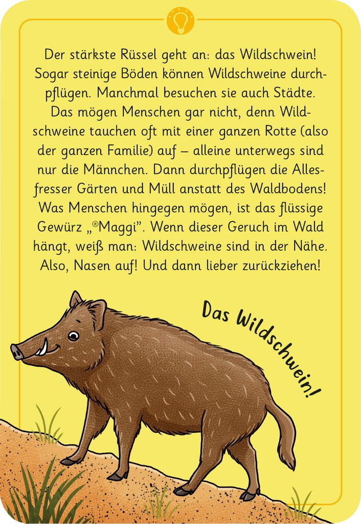 moses - 50 wundersame Tierrätsel: Wald