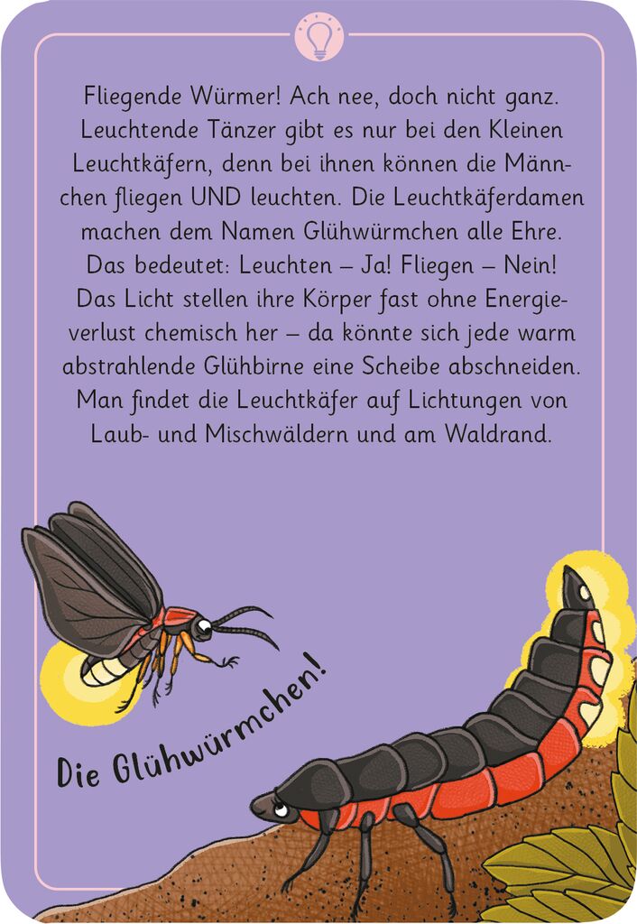 moses - 50 wundersame Tierrätsel: Wald