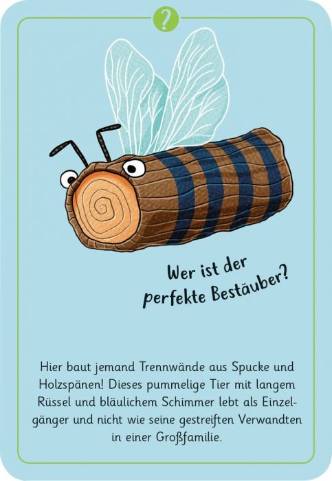 moses - 50 Tierrätsel Insekten