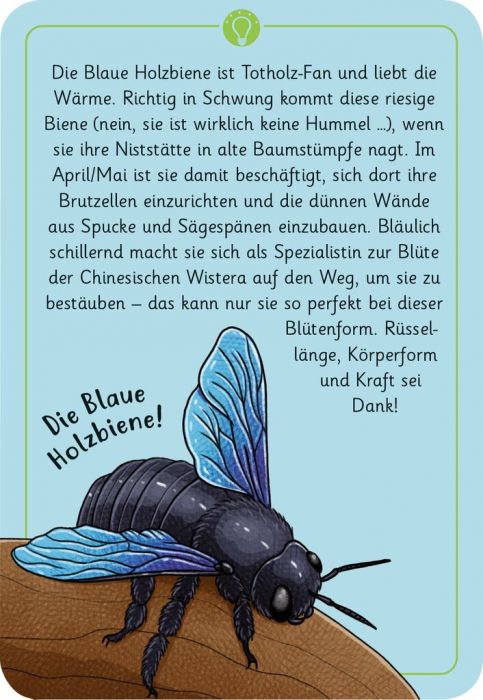 moses - 50 Tierrätsel Insekten