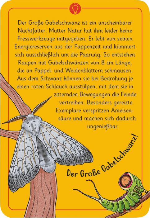 moses - 50 Tierrätsel Insekten