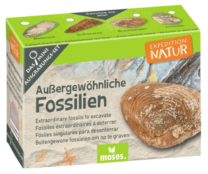moses - Expedition Natur Mini-Ausgrabungssets