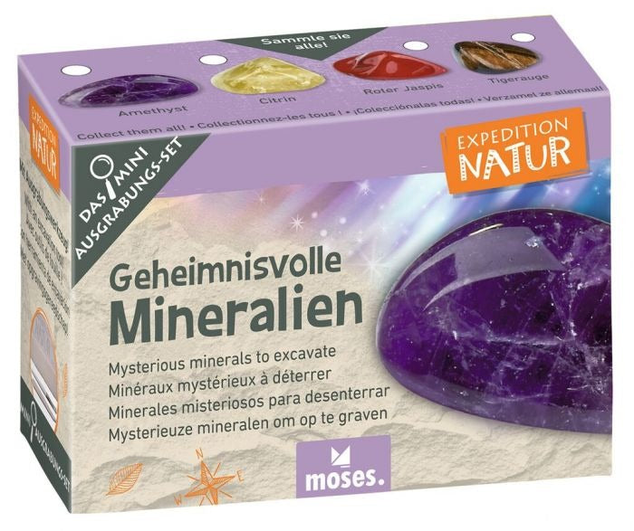 moses - Expedition Natur Mini-Ausgrabungssets