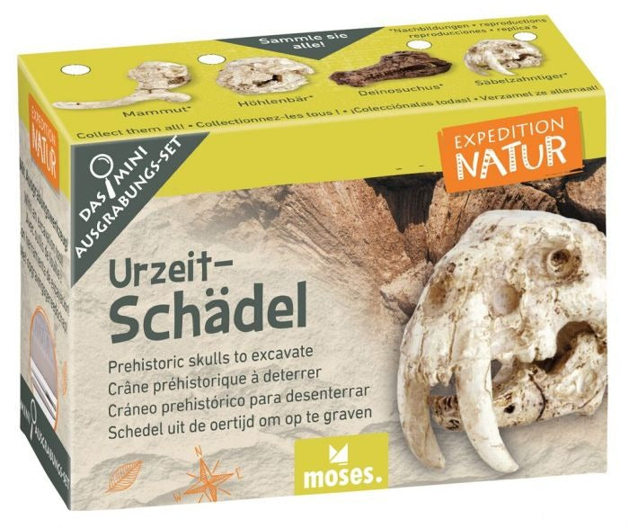 moses - Expedition Natur Mini-Ausgrabungssets