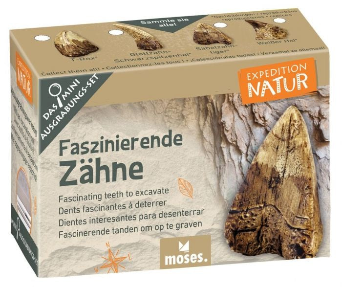 moses - Expedition Natur Mini-Ausgrabungssets