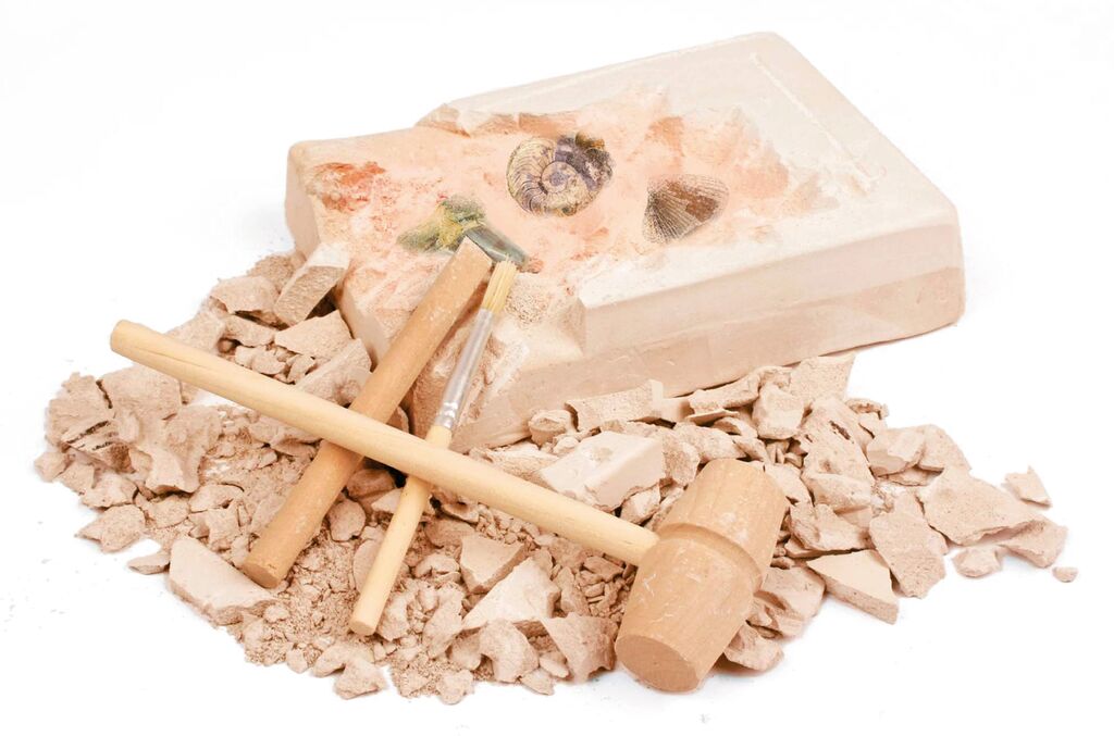 moses - Fossilien-Ausgrabungs-Set