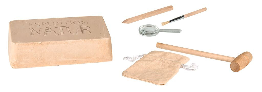 moses - Fossilien-Ausgrabungs-Set