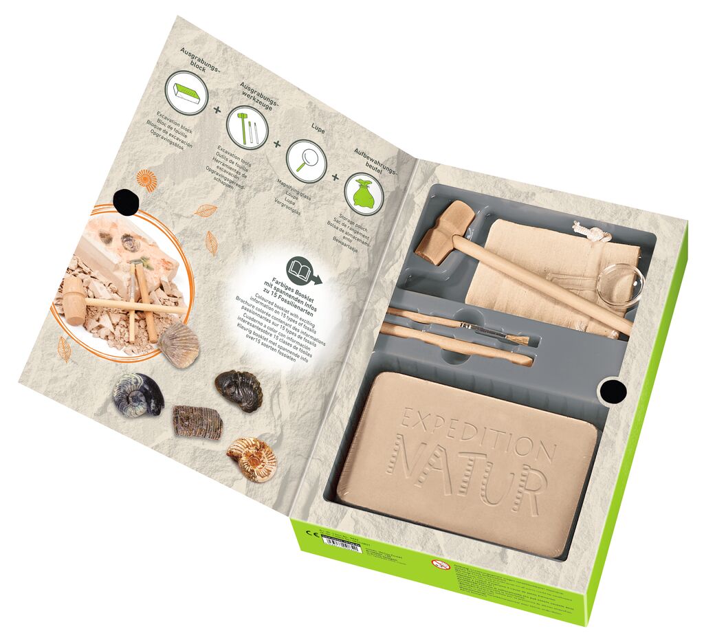 moses - Fossilien-Ausgrabungs-Set