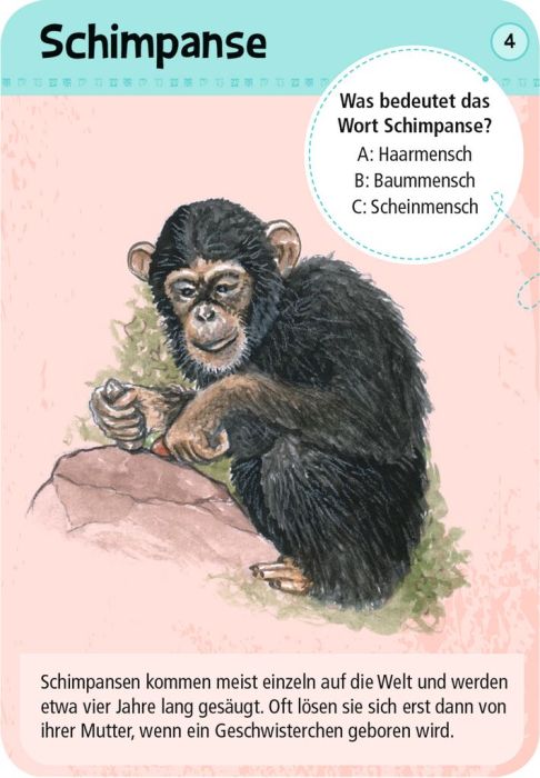 moses - 50 Tierkinder