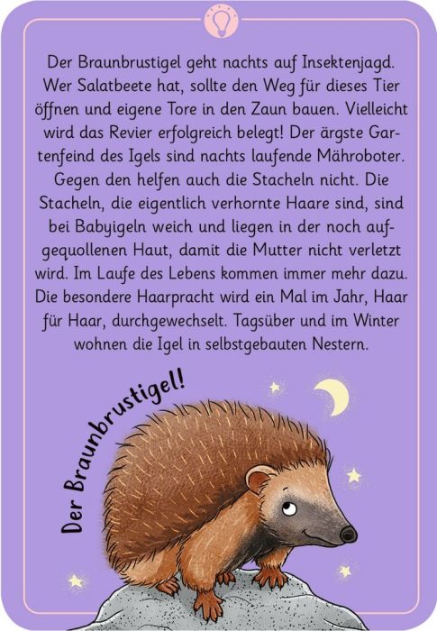moses - 50 wundersame Tierrätsel: Tiere der Nacht