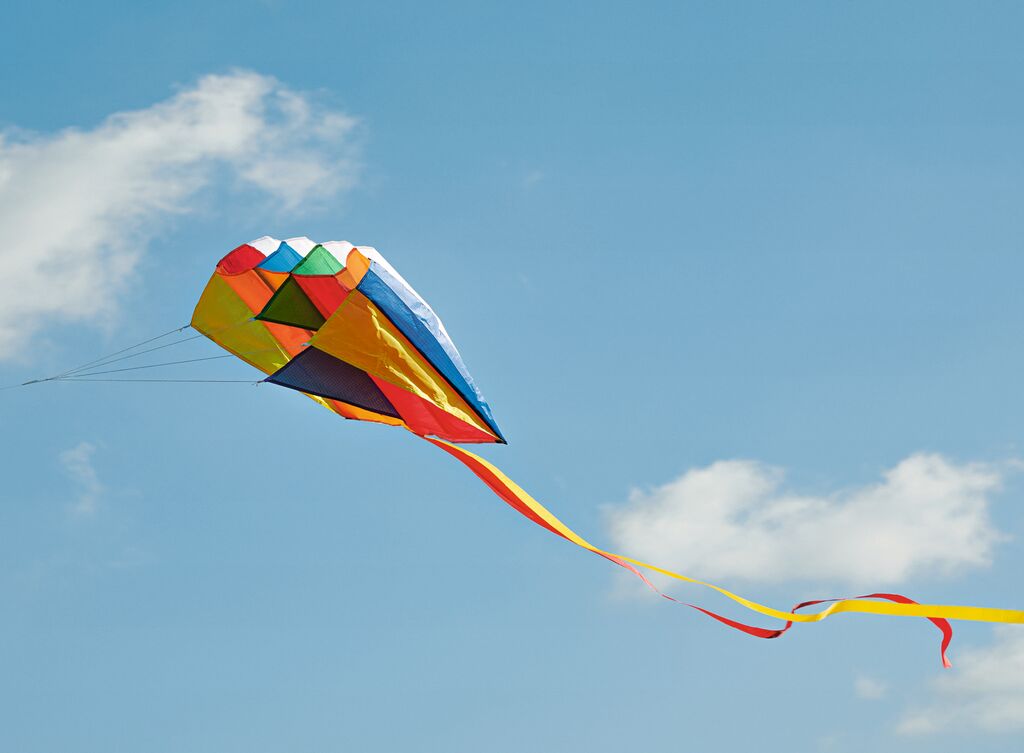 moses - Bunter Taschen-Flugdrachen