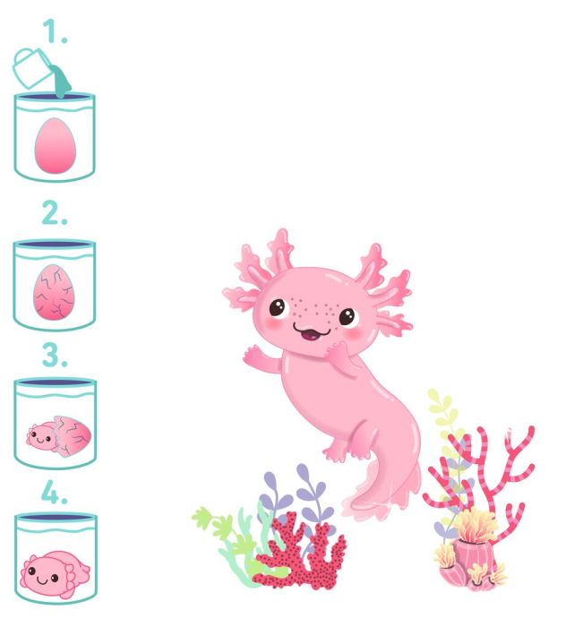 moses - Schlüpfender Axolotl