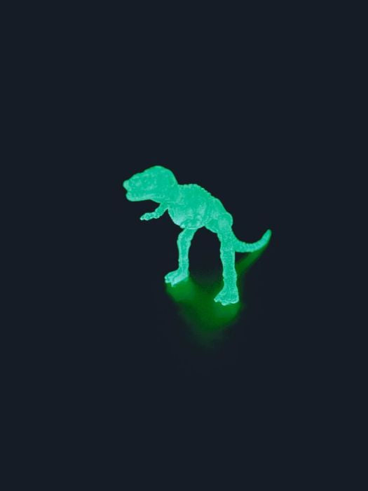 moses - Ausgrabungsei Dino-Skelett