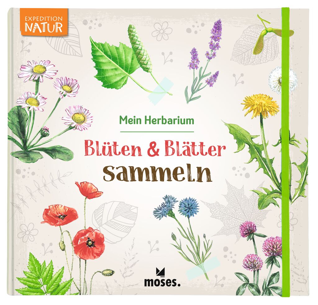 moses - Blüten und Blätter sammeln