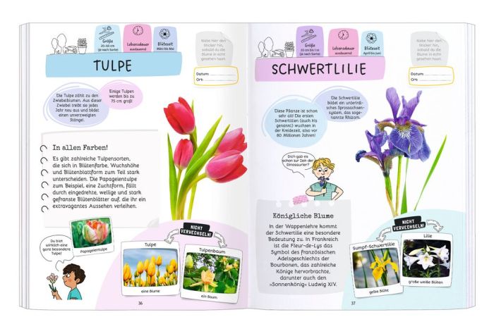 moses - Rätseln, Stickern, Bestimmen: Blumen