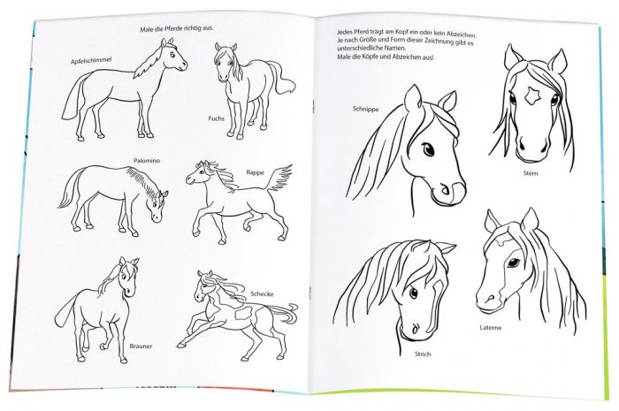 moses - Mein Pony und Pferde Malbuch