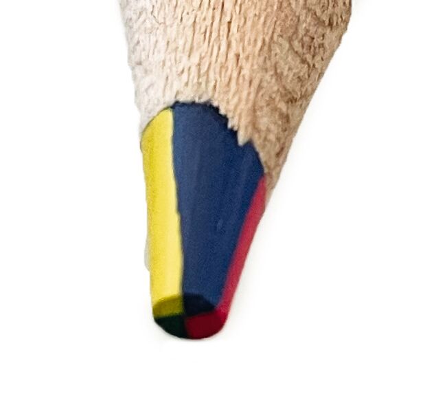 moses - Regenbogen-Buntstift Pompom