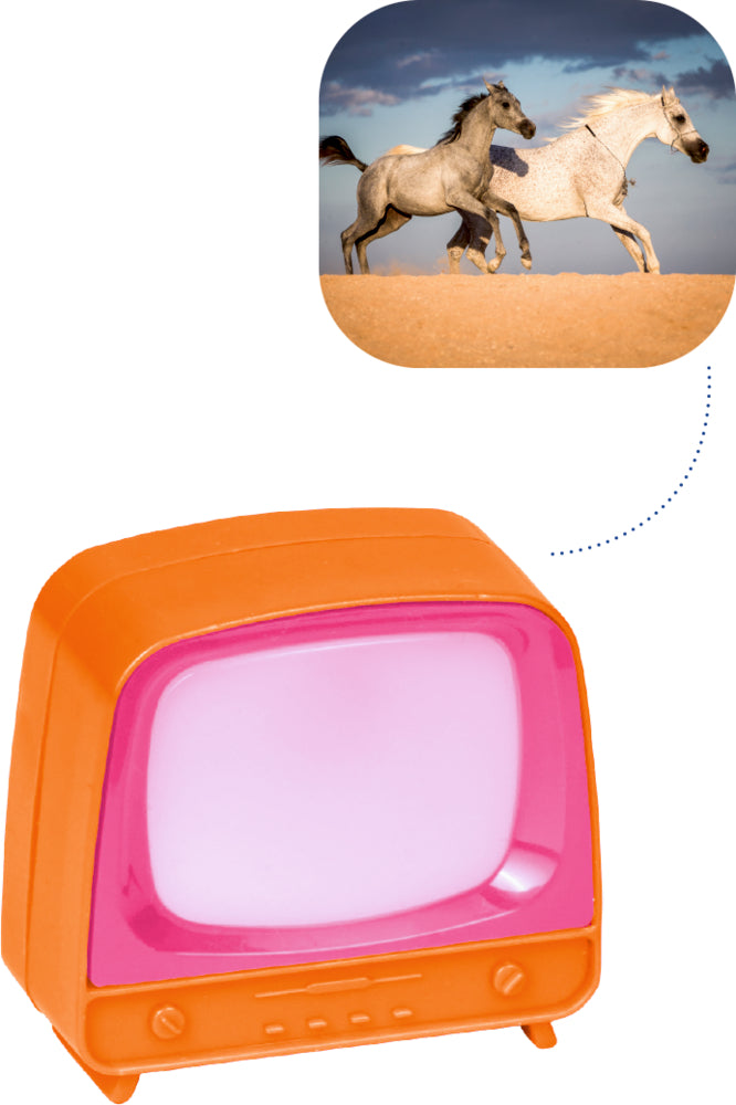 Spiegelburg - Klick Fernseher
