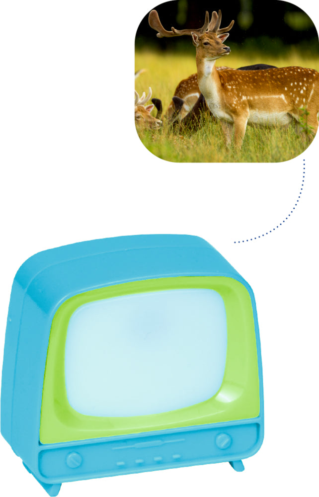 Spiegelburg - Klick Fernseher