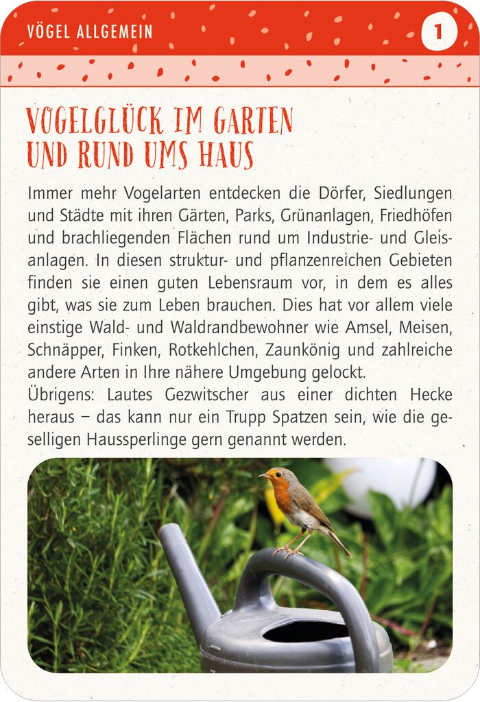moses - Blatt & Blüte Vogelglück Kartenset