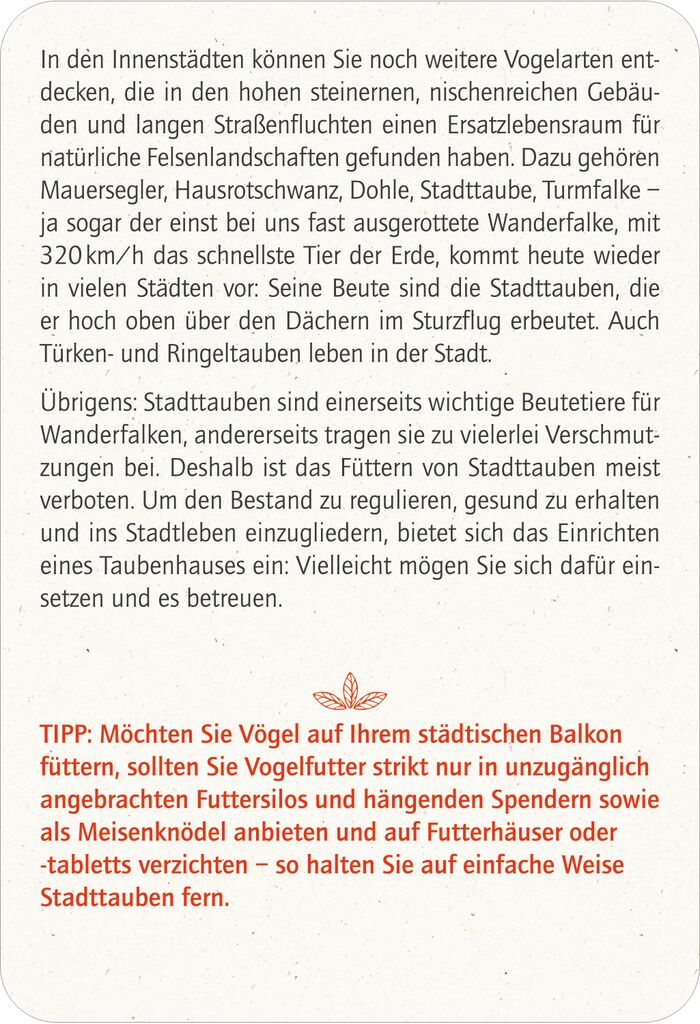 moses - Blatt & Blüte Vogelglück Kartenset