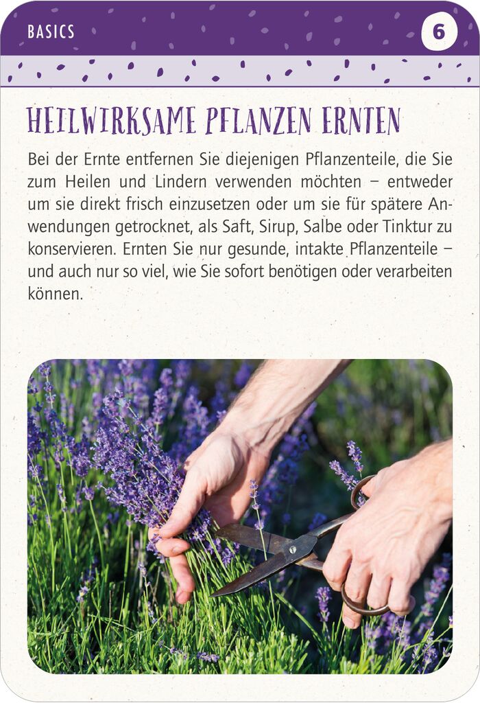 moses - Blatt & Blüte Heilsame Pflanzen Kartenset