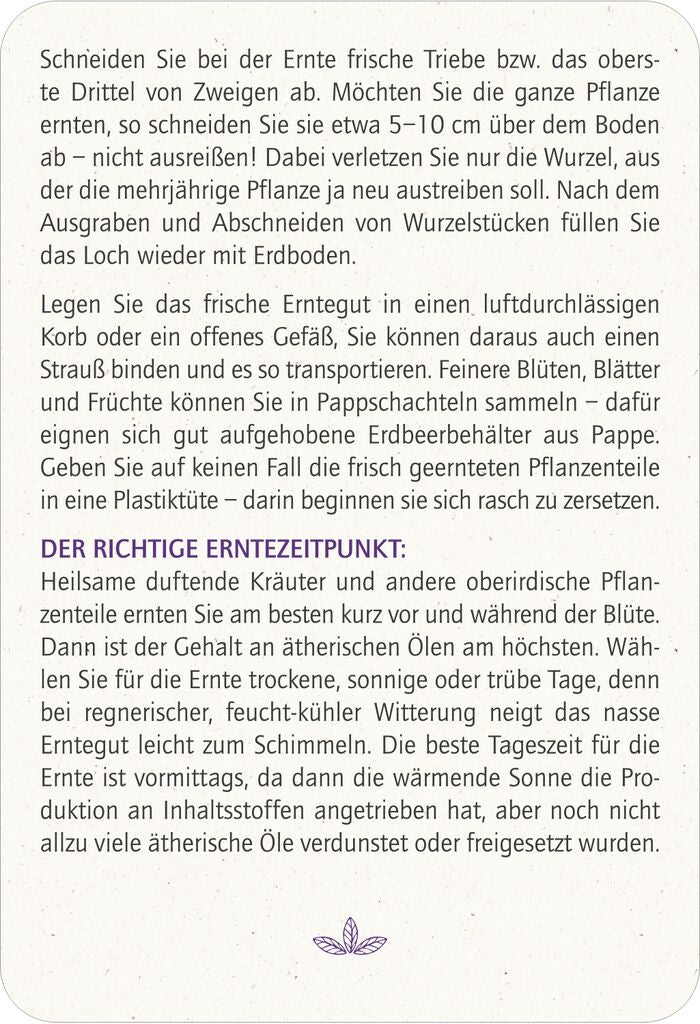 moses - Blatt & Blüte Heilsame Pflanzen Kartenset