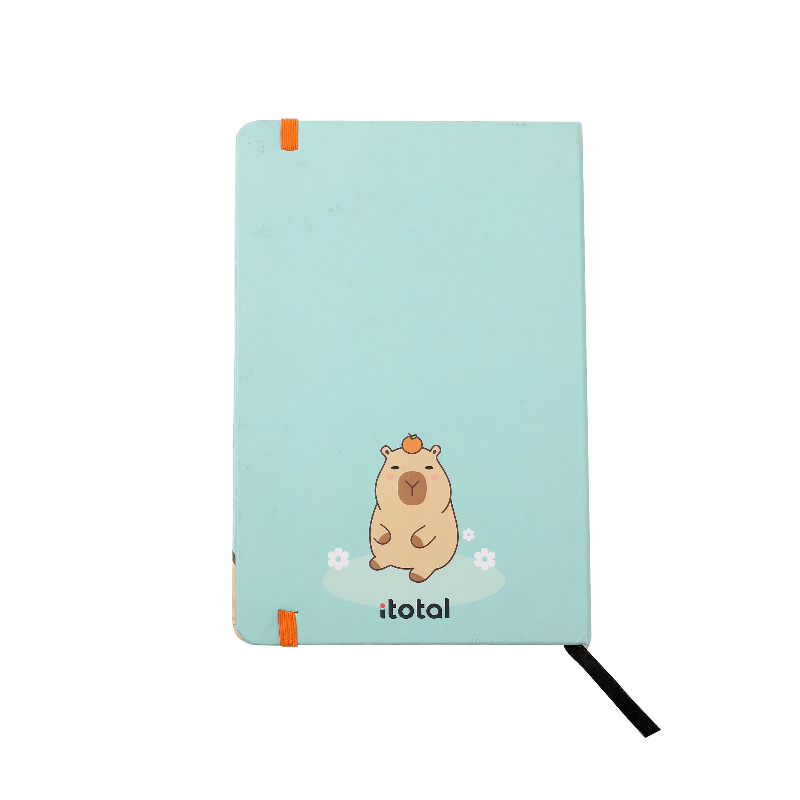 itotal - Capybara A5 Notizbuch