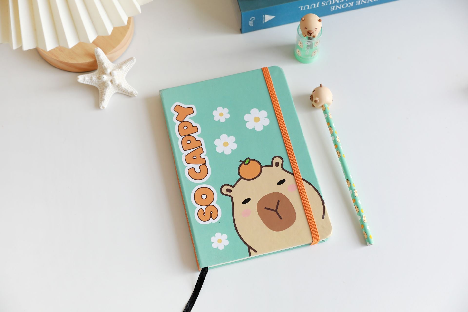itotal - Capybara A5 Notizbuch