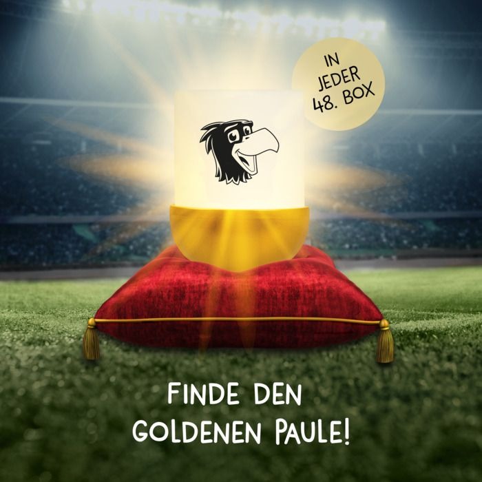Mega Light - Mystery Lights: Mini Licht Eggy DFB Edition