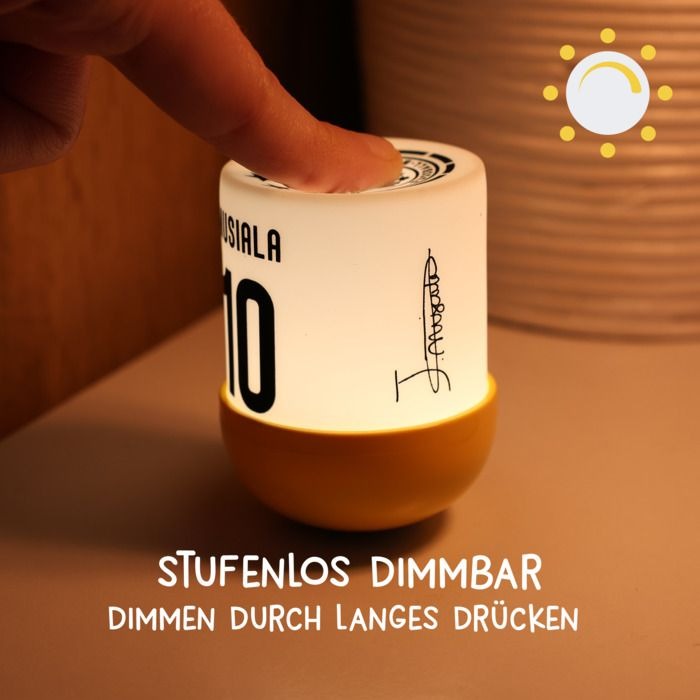 Mega Light - Mystery Lights: Mini Licht Eggy DFB Edition