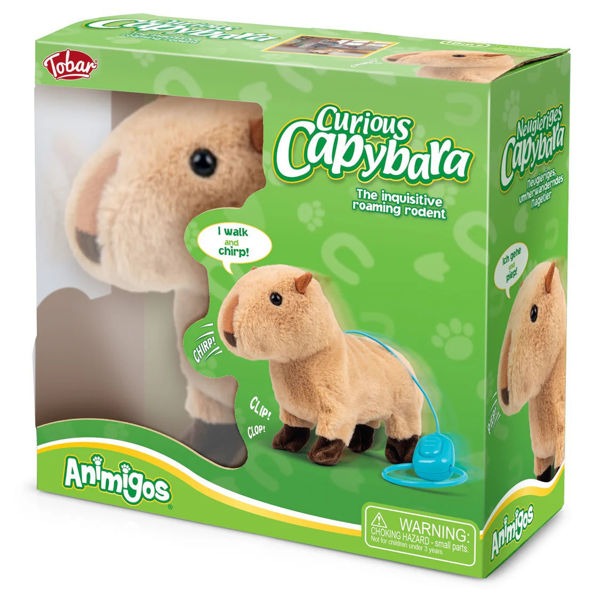 One For Fun - Neugieriges Capybara