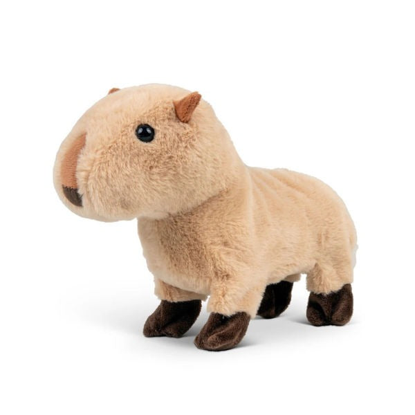 One For Fun - Neugieriges Capybara