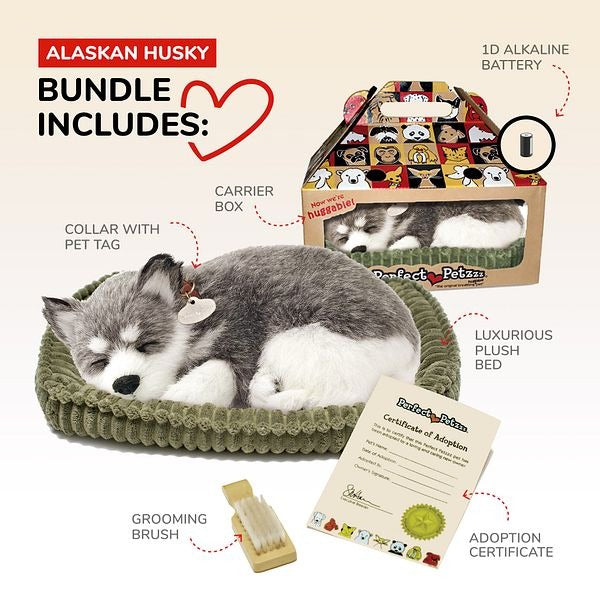 Perfect Petzzz Set, schlafender Husky, grau-weiß, Kuscheltier, Bettchen, Bürste, Halsband, Adoptionsurkunde, Transportbox, Batterie, realistisch, atmend, Plüschtier, Haustier-Set, Geschenk.