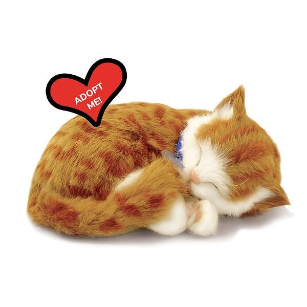 Perfect Petzzz, schlafende Katze, orange-getigert, Kuscheltier, atmend, realistisch, weich, Plüschtier, Haustier-Imitation, lebensecht, Dekoration, Kinder, Senioren, beruhigend, "Adopt Me" Herz.