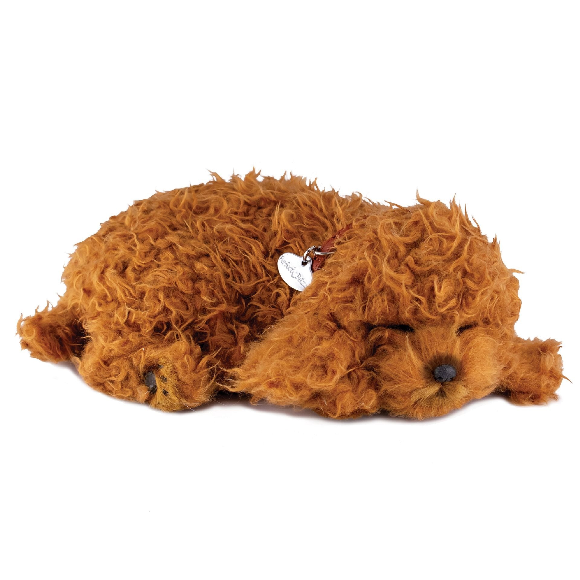 Perfect Petzzz, schlafender Toy-Pudel, braun, lockig, Kuscheltier, atmend, realistisch, weich, Plüschtier, Hund-Imitation, lebensecht, Dekoration, Kinder, Senioren, beruhigend, Spielzeug.