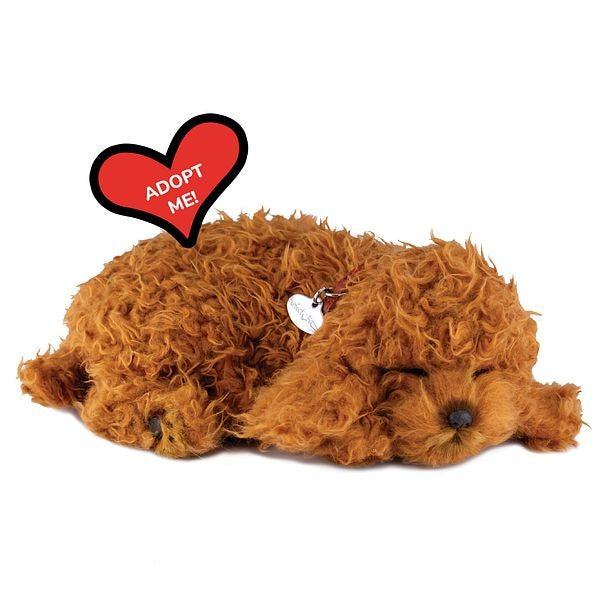Perfect Petzzz, schlafender Toy-Pudel, braun, lockig, Kuscheltier, atmend, realistisch, weich, Plüschtier, Hund-Imitation, lebensecht, Dekoration, Kinder, Senioren, "Adopt Me" Herz.