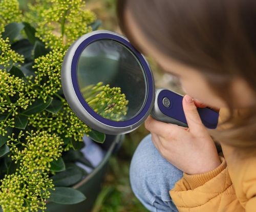 moses - Expedition Natur Profi-Lupe mit Licht