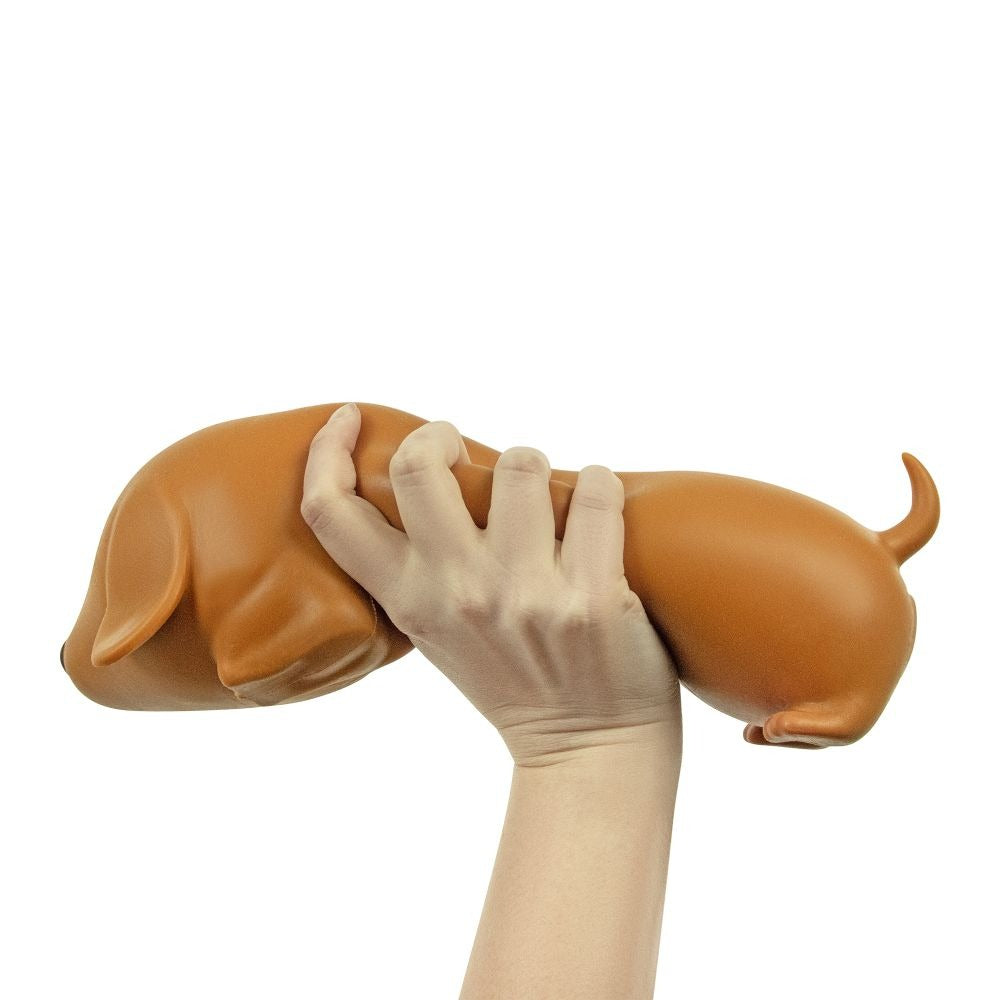 The Big Squij - Fidget: Jumbo Dachshund
