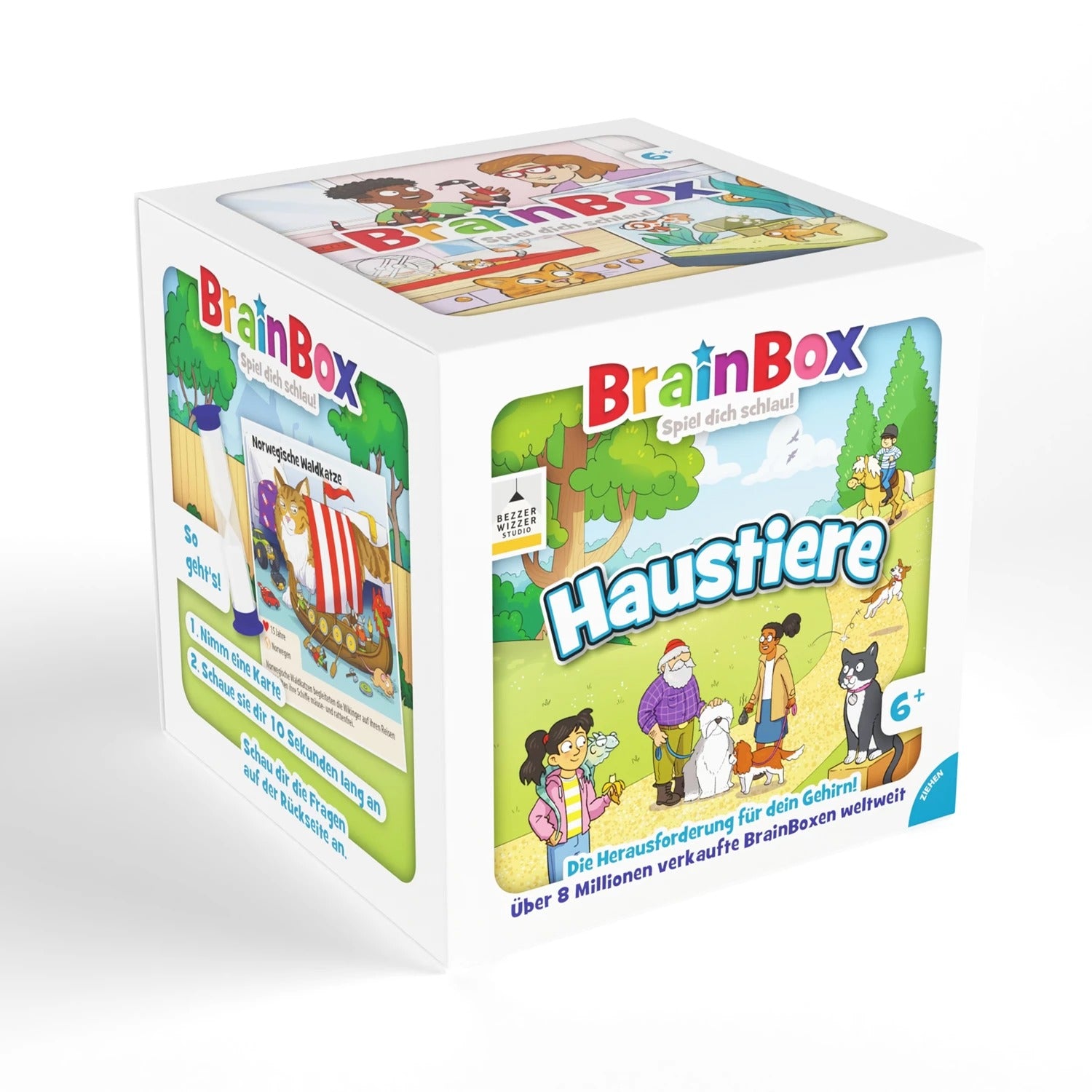 BrainBox - Lernspiel: Haustiere