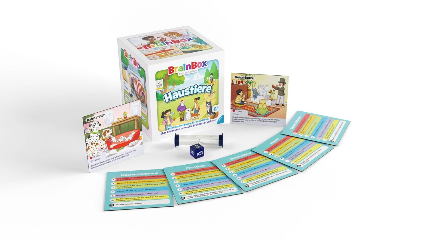 BrainBox - Lernspiel: Haustiere