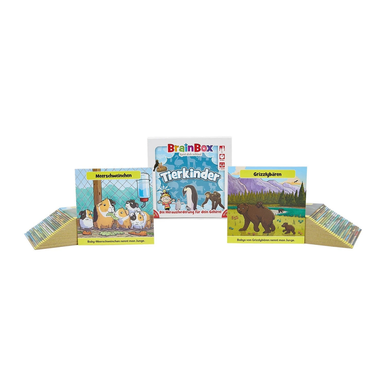 BrainBox - Lernspiel: Tierkinder